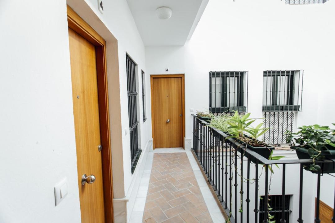 Apartment Bright Duplex W/ Terrace Seville